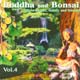 Oliver Shanti & Friends - Budda & Bonsai vol. 4
